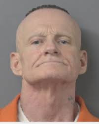 Debutantes to represent Wilson at state ball