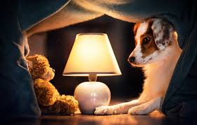 Beautiful baldwin brass candlestick lamp hunting dog pheasant. Wallpaper Lamp Dog Bear Plaid Teddy Bear Images For Desktop Section Sobaki Download