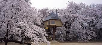 Die auswahl von projekten konzentriert sich auf von ihm. Trojanisches Teehaus To Go Im Gesprach Mit Terunobu Fujimori Detail Magazin Fur Architektur Baudetail