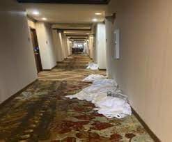 Ask a question through facebook or twitter. Hampton Inn Customer Service Complaints Department Hissingkitty Com