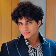 Abhay Verma Salutes Indian Armed Forces And His Own Brother: 'It's not  about the fight, it's ...