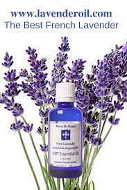 Pure French Lavender Essential Oil Fleurs De France French Lavender Essential Oil Oils For Relaxation Lavender Oil For Sleep