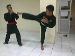 Teknik dasar pencak silat yang tak kalah pentingnya adalah tendangan. Serangan Dengan Tendangan Dengan Menggunakan Kaki Yaitu Pada Kaki Bagian 7 Teknik Tendangan Taekwondo Yang Wajib Di Kuasai Tendangan Ini Menggunakan Kekuatan Paha Dan Betis Bilbalaza