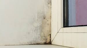 Schimmelflecken im badezimmer, an fliesen, fugen, schimmel an der wand, an zimmerdecken, in zimmerecken, um das fenster herum und im keller entfernen, bekämpfen, vermeiden. Schimmel In Der Wohnung Wer Haftet Vermieter Oder Mieter