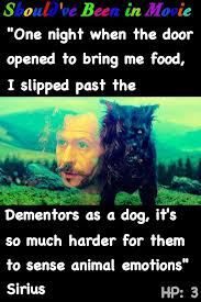 pin by sarah rocha grimm on should ve been in movie harry potter harry potter scene harry potter collection harry potter jokes