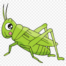 Cricket player svg, cricket svg, cricket clipart, cricket files for cricut, cricket cut files for watercolor clipart insects nature scrapbooking clip art insect grasshopper png cricket. Cartoon Bush Crickets Insect Crickets Cartoon Free Transparent Png Clipart Images Download