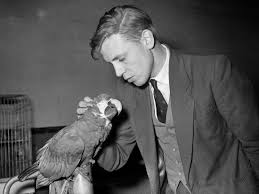 Africa's gentle giants | bbc documentary hd 2017. 14 Brilliant David Attenborough Quotes On His 91st Birthday Business Insider