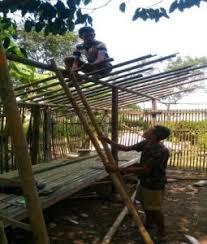 Kandang kambing yang sehat memenuhi standar kesehatan. Budidaya Kambing Peranakan Etawah Pe Dinas Peternakan Kabupaten Lebak