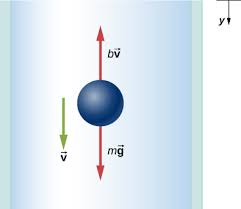 Jan 24, 2020 · in general, a person falling through the air on earth reaches terminal velocity after about 12 seconds, which covers about 450 meters or 1500 feet. 6 4 Drag Force And Terminal Speed University Physics Volume 1