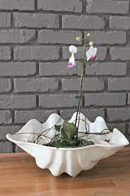Check spelling or type a new query. Knock Off Ceramic Giant Clam Shell Southern State Of Mind Blog By Heather