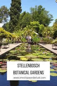 The Almost Secret Stellenbosch Botanical Garden In 2020 Botanical Gardens Stellenbosch South Africa Travel