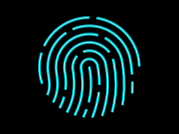 Https Encrypted Tbn0 Gstatic Com Images Q Tbn And9gcrbo07q8totgbfmocmlbbu92hkv9dxckmzdja Usqp Cau