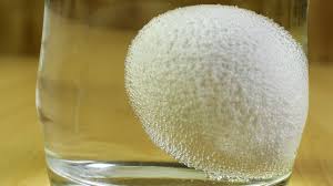 Vinegar And Egg Experiment Vs Coke And Egg Youtube