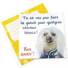 Coloriage animaux et nature chien chat cheval papillon cartes à imprimer carte d'anniversaire carte carte d'anniversaire gratuite a imprimer recherche de carte d'anniversaire gratuite a imprimer avec cheval. Carte D Anniversaire A Imprimer De Chien Cartes Lisaoycwilson Site