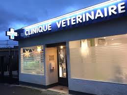 Clinique vétérinaire du Dr Pejanovic