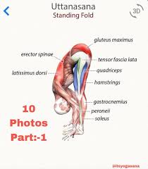 Deshraj Dagar On Instagram 3d Yoga Very Use Full Workout Quotes Quotesdaily Yoga Quotes Lifequotes Exercicios De Yoga Ioga Educacao Fisica