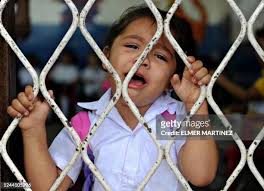 631 Daniel Pupil Photos & High Res Pictures