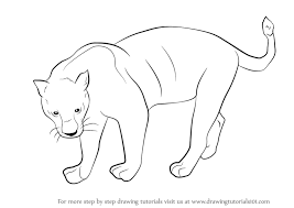 Pin On Drawing Tutorials
