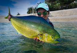 Mahi Mahi On The Beaches Of Croatia Tips To Catch Them Flylords Mag Mahira khan hd pics mahira khan hot photos. flylords mag