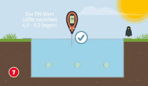 Pool Pflegen Ratgeber Auf Hagebau De