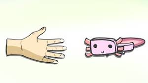 Check spelling or type a new query. Pet The Minecraft Axolotl Animation Meme Youtube