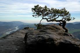 Check spelling or type a new query. Lilienstein Wahrzeichen Der Sachsischen Schweiz