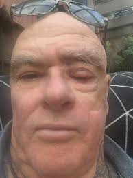 Weimaraner as recliner stuffing