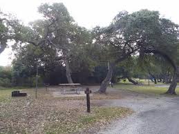 From 42 cabin rentals to 425 house rentals, find a unique house rental for you to enjoy a memorable holiday or a weekend with your family and friends. Deer In Campsites Picture Of Goose Island State Park Rockport Tripadvisor