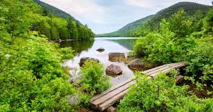 Check spelling or type a new query. 25 Best Things To Do In New England
