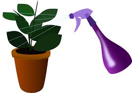 Distribute water evenly around the entire plant rather than pointing the nozzle towards a single area. Houseplant Plant Watering House Free Vector Graphic On Pixabay