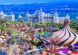 Image result for Oldenlandia verrucitesta