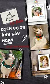 LALA Pet Shop, Cửa hàng trực tuyến