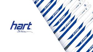 5 Of The Best Skis For Moguls Mpora