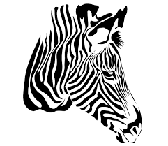 Black And White Vector Art Free Zebra Head Vector Free Zebra Art Zebra Art