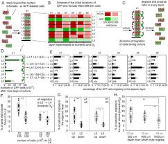 We did not find results for: Multizone Paper Platform For 3d Cell Cultures