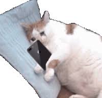 Browse thousands of other custom discord and slack emoji on emoji.gg. Meme Gifs Tenor