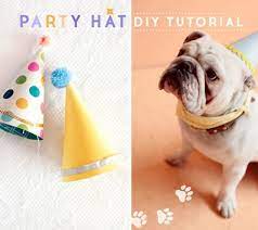 Official Disney Baby Store Shopdisney Dog Birthday Hat Dog Party Hat Dog Party