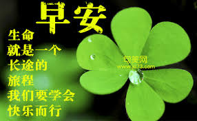 “安心”的图片搜索结果