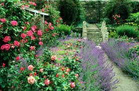 See more ideas about cottage garden, garden, garden design. 9 Cottage Style Garden Ideas Gardening Ideas