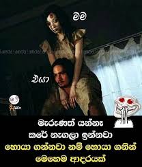 We did not find results for: Patta Wadan Instagram Adara Nisades