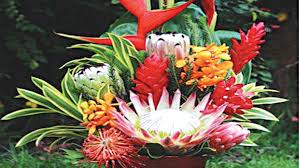 We did not find results for: Valentine S Day Exotic Tropical For Romance The Guardian Nigeria News Nigeria And World News Saturday Magazine The Guardian Nigeria News Nigeria And World News