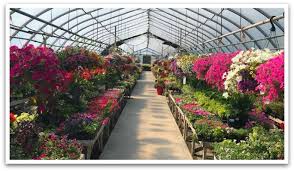 Macdonald craxton wood hotel & spa is set within 27 acres of woodland and gardens, yet only 6 miles from chester city centre. Flower Lovers Avid Gardeners Tourism Chester Nova Scotia