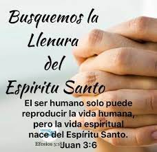 Juan 3 6 Frases Edificantes Confianza En Dios Sabiduria De Dios