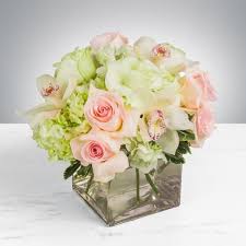 We would like to show you a description here but the site won't allow us. Staten Island Florist Flower Delivery By Flowers By Bernard