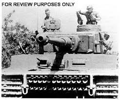 Pin On Tiger 131