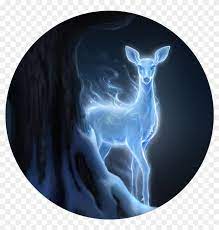 Harry potter is considered as one of the youngest wizard to accomplish the patronus spell and was taught by remus lupin. Stag Vector Harry Potter Patronus Patronus Harry Potter Hd Png Download 956x956 5691369 Pngfind