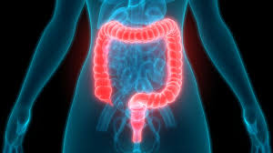 Image result for Fecal Incontinence