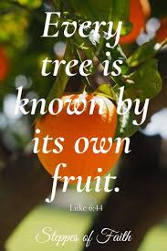 Maybe you would like to learn more about one of these? For A Good Tree Does Not Bear Bad Fruit Nor Does A Bad Tree Bear Good Fruit For Every Tree Is Known By I Tree Quotes Fruit Quotes Inspirational Fruit Quotes