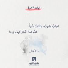 عالم الأدب اقتباسات من الشعر العربي والأدب العالمي arabic poetry arabic love quotes arabic quotes