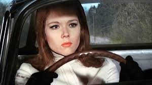 The female is less risky than the male . . .